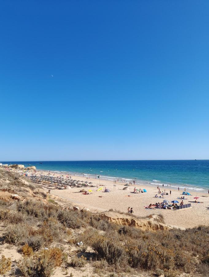 Estudio Puertorico T0 Em Albufeira Gale Экстерьер фото