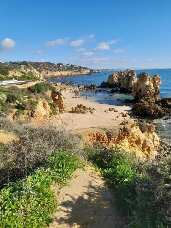 Estudio Puertorico T0 Em Albufeira Gale Экстерьер фото